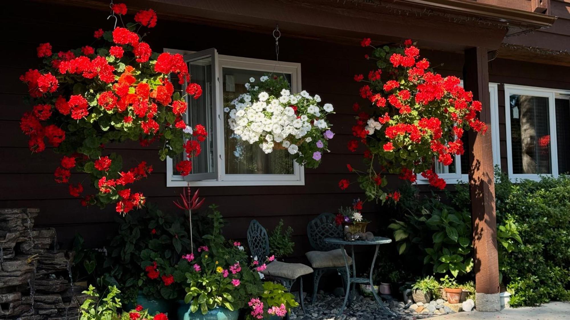 Garden Bridge House Villa Sechelt Exterior photo